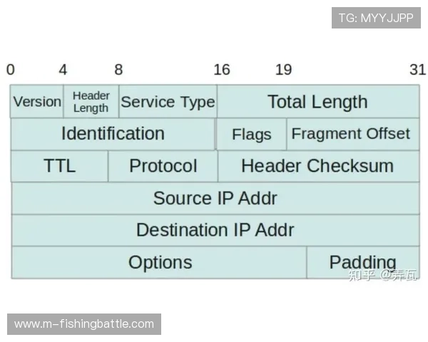 加密传输协议在当前周期内得到强化 防止了赛事信号在传输中被截取 加密传输协议在当前周期内得到强化 防止了赛事信号在传输中被截取